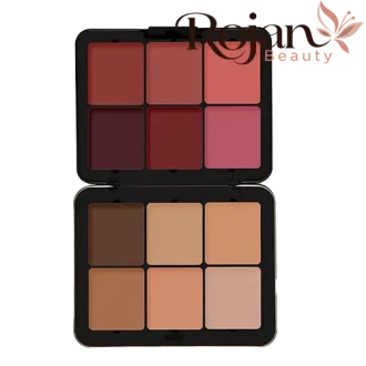 پالت رژگونه و کانتور چرب فیوچر میکاپ (FU103)